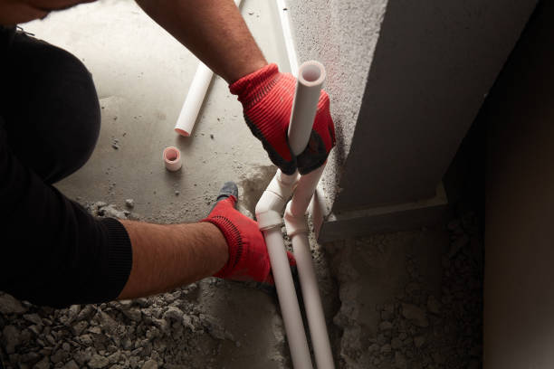 Best Local Plumber Services  in Flora Vista, NM