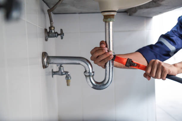 Best Clogged Drain Plumber  in Flora Vista, NM