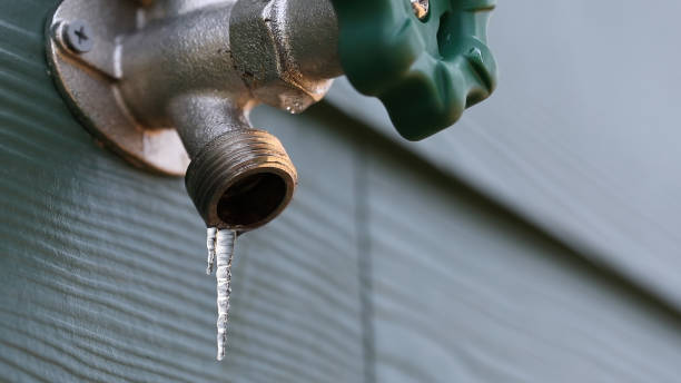 Best Gas Line Repair  in Flora Vista, NM